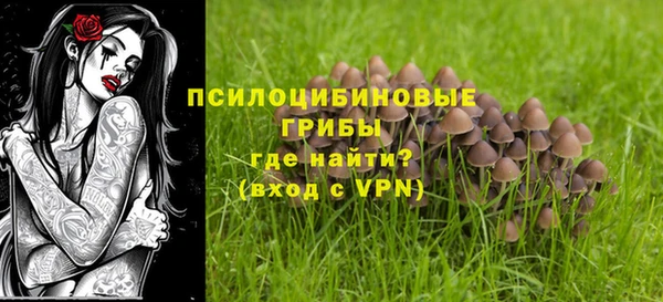 хмурый Арсеньев