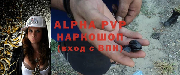 хмурый Арсеньев