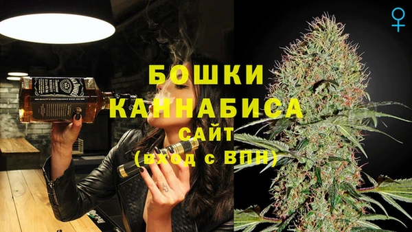 PSILOCYBIN Нефтекумск