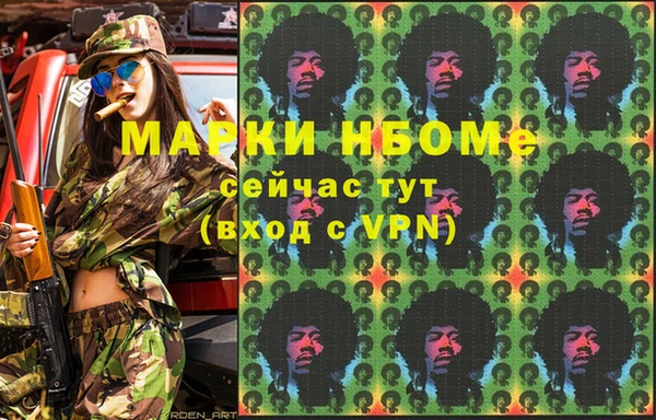 хмурый Арсеньев
