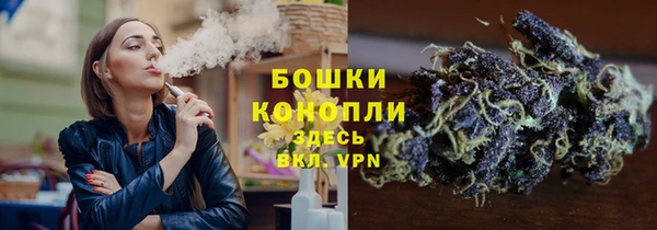 хмурый Арсеньев