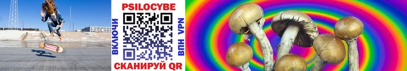 Псилоцибиновые грибы GOLDEN TEACHER  Купить где  Бор 